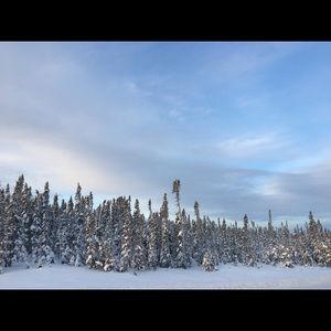 Meet your Posher, Jenny